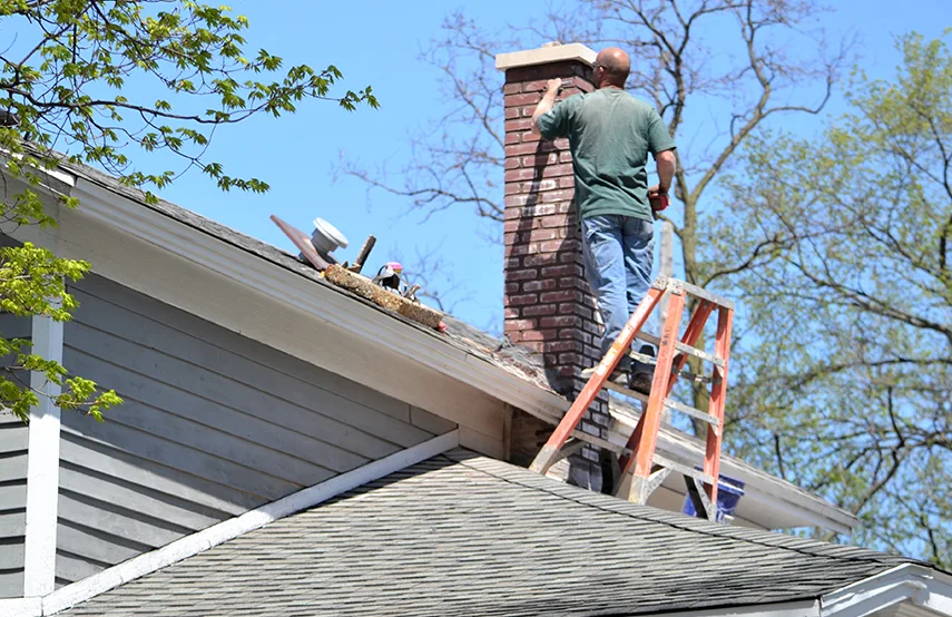 Chimney & Fireplace Inspections Services in Burnsville, MN